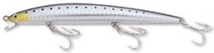 SHORELINE SHINER SL12F-G