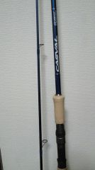 CASVAL94M