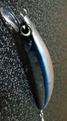 ƻheavysurfer