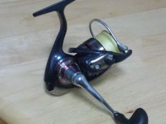 NEWơ2500RH