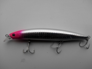 Shore  Line  Shiner  Z  120F