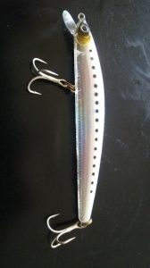 Shore Line Shiner R50 LD F-G