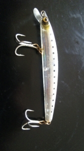 Shore Line Shiner R40 LD S-G