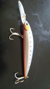 Shore Line Shiner CURRENT MASTER 9DR F-G