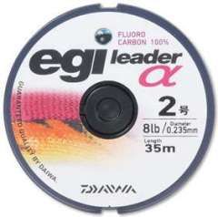 egi leader  2