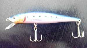 SEABASS HUNTER·S