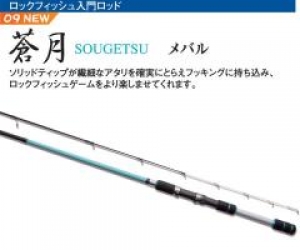  ST-802RF