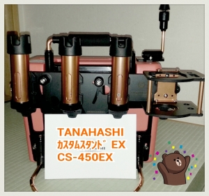 CUSTOM STAND EX