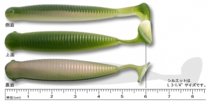 GRASS MINNOW M