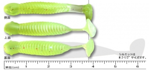 GRASS MINNOW S