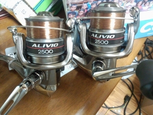 ALIVIO2500