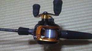 AIRD/ɡ100H(ϥɥ롡6.3:1)