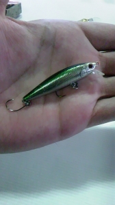 ARCHER MINNOW