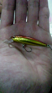 ARCHER MINNOW