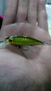 KF SHAD 50F
