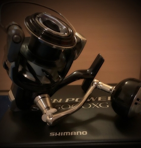 21ĥѥSW5000XG