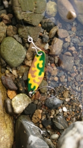 ウォブルスイマー