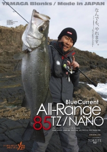 BlueCurrent 85/TZ NANO All-Range