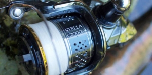 10STELLA C2000hgs