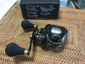 GIGA SALT HG右巻き