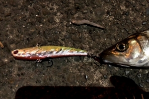 海外メタルバイブ 9.5cm 26g