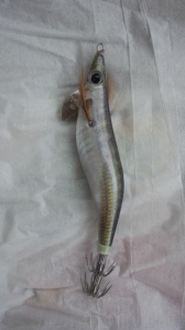 ¥¨¥®²¦Q Live 3.0¹æBASIC(15g)