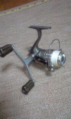 ステラ2000