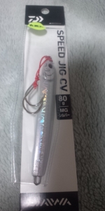 ¥¹¥Ô¡¼¥É¥¸¥°CV