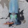 Ф