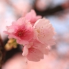 륢ޥ26