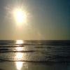 surfman