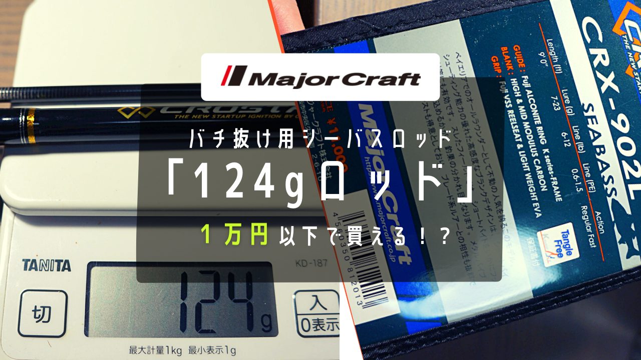 アンダー1万円】のシーバスロッドでバチ抜けランカーを狙ってみる